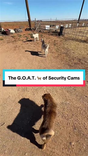 The Best Security Camera for Home Protection