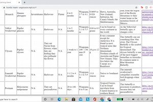 Butterfly Catching and Learning Game