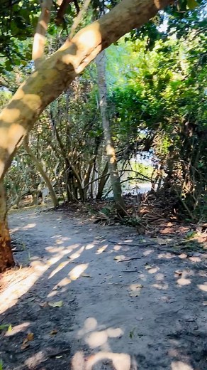 The fun is making it be about the journey and the destination! A super cool beach path on Hutchinson Island Florida #walkwithme #paradise #explore #florida #floridalife #beach #islandvibes #islandlife | Hutchinson Island Florida