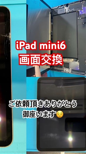 iPad mini6 画面交換 ご依頼頂きました🫡 #ipad #iphone #switch #tablet #バッテリー交換 #画面割れ