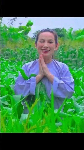 The best traditional Vietnamese songs #bestmusiceveryday