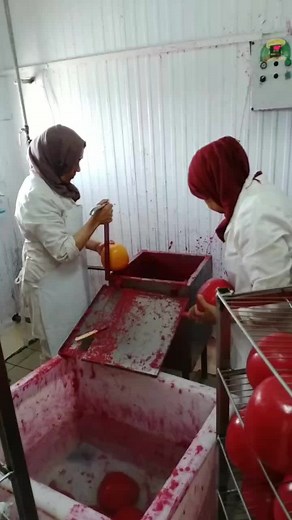 Tomato Processing Techniques in a Clean Environment