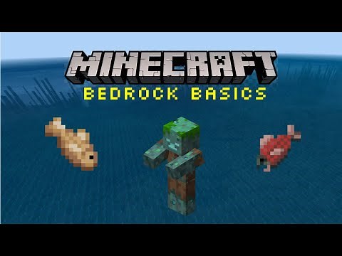 How to find the ocean! | Minecraft Bedrock Basics