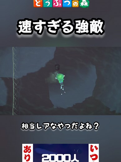 激レア海の幸を探る！あつ森の世界