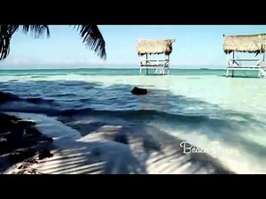 Kate Upton -- Beach Bunny Swimwear Photoshoot Video