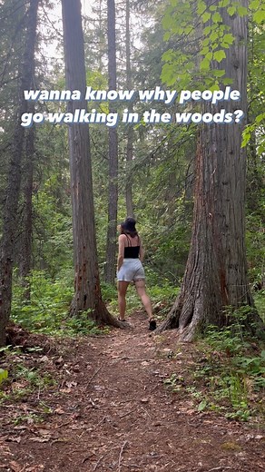 586 reactions · 6 comments | Nature therapy is my favorite therapy 浪...