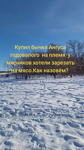 Samat Temirbekov (@samat.temirbekov1)’s videos with original sound - Rock N Roll