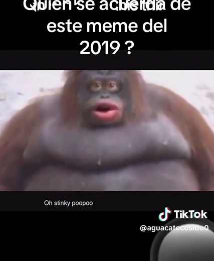 Funny Poop Comedy for Kids