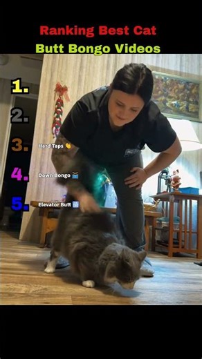 Ranking Best Cat Butt Bongo Videos 🥁🐈 #TopTier #CatBongos #FunnyCats #funny #animalranking #cat