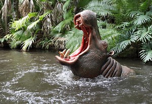Man gets swallowed by hippo and lives to talk about it