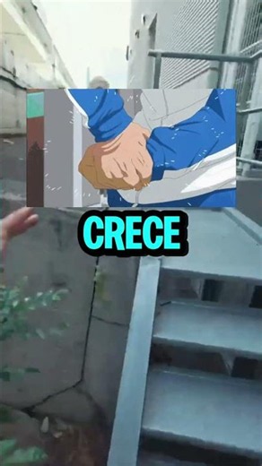 A Que Tripulacion Te Unirias Para Ganar Poderes Legendarios??