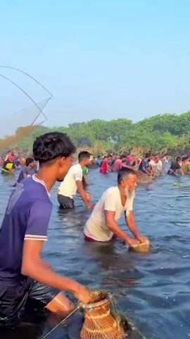 Surprising Animal Encounters with Humans Around the World