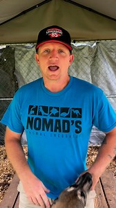 Puppies needing homes in Seminole, Oklahoma #oklahoma #seminole #puppies #pets #puppy #adoptme | Nomad's Animal Encounter