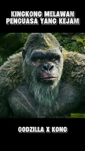 Sinopsis King Kong vs Scar King: Pertarungan Epik