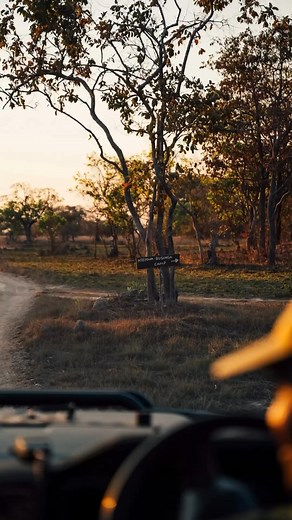 DISCOVER ZAMBIA 🇿🇲 | The magic of the Busanga Plains… Ntemwa-Busanga Camp is our home on these iconic plains in remote Northern Kafue. A classic bush camp with... | Instagram