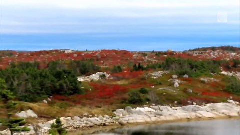Vibrant red spattering of huckleberry bushes splatter the October views in the Peggy's Cove Preservation Area