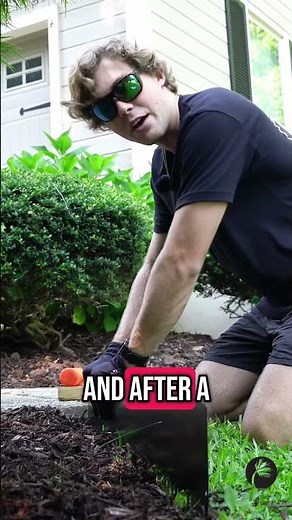 Transform Your Yard in MINUTES with This Landscape Edging