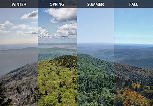Ember Days: What They Are And Where They Went