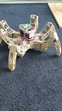 Hexapod Robot Showcase | A Six-Legged Robot Built from Scratch 🕷️🤖