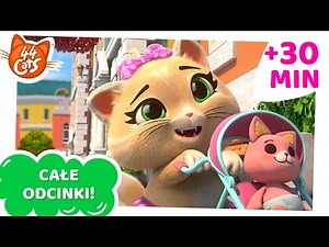 44 Cats | 30 MINUT odcinków! [CAŁE ODCINKI]