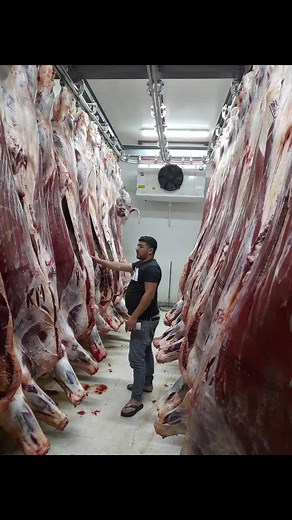 Meat Processing Facility Overview: Fresh Cuts and Techniques