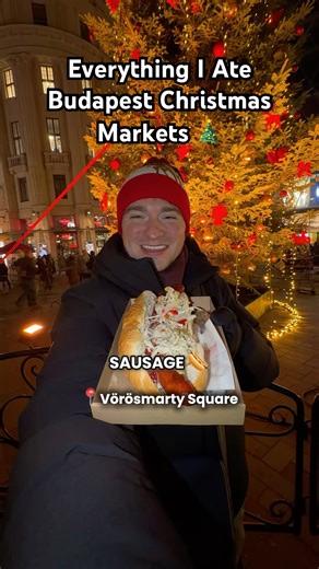 Everything I Ate at the Budapest Christmas Market 🎄🇭🇺