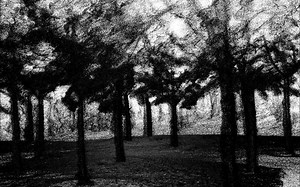 path planning has some issues and feature point extraction is not accurate