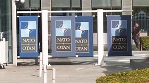 What is NATO and what is its purpose? AP Explains