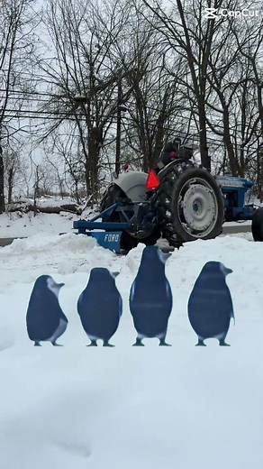 Snowy #snow #plowingsnow #ford4000 #cold