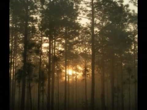 The Whistling Gypsy Rover by The Clancy Brothers