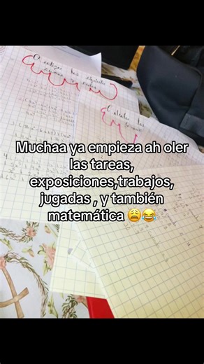 Regreso a Clases 2026: Expectativas y Realidades