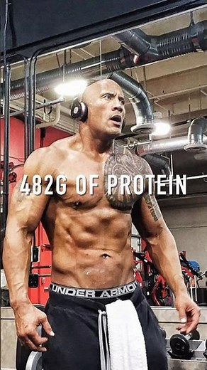 482g PROTEIN DIET