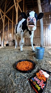 1.7M views · 2.8K reactions |  Cow Tries Spicy Noodles and Loses...