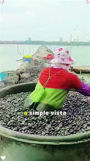 Why do people use mud to clean clams?#didyouknow #knowledge #fyp #amazing #asmr
