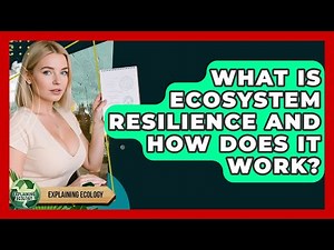 What Is Ecosystem Resilience And How Does It Work? - Explaining Ecology