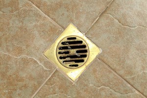 Why Does My Shower Drain Smell? All the Reasons Explained