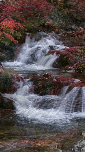 💧 Peaceful Soft Royalty-Free Music with Stream Sounds