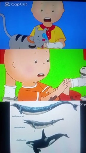 Sparta Caillou #funny Basilosaurus Dorudon Killer Whale #memes #voiceeffects