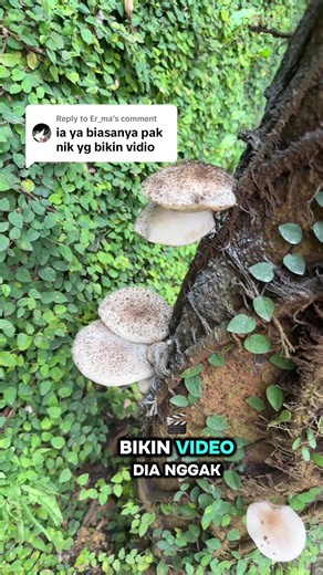 Aman logistic #tkwsingapore🇮🇩 #singapore #pmisingapore #cityplazasg #kirimbrang