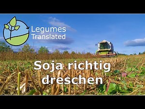 Soja richtig dreschen