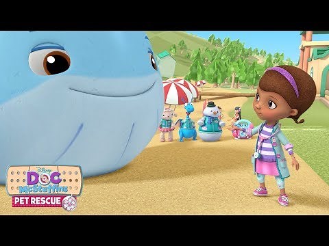 Wipeout Whale | Doc McStuffins Pet Rescue | Disney Junior