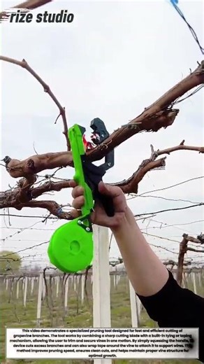 Smart Grape Pruning Tool in Action | Fast & Precise Vineyard Maintenance