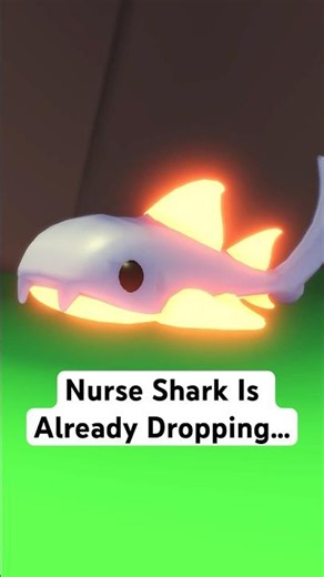 Nurse Shark Is Already Dropping...⚠️ #roblox #adoptme