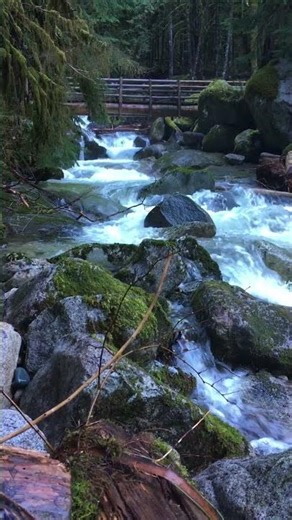 Luminescent | Roaring Cascades | Mossy Rainy Creek | North Bend, WA #nature #river #flood