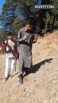 How To Use Gold Detector Machine #golddetectormachine #dowsingrodandmetaldetector #shortsfeed