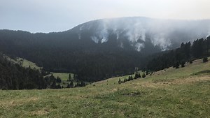 Fire shuts down Beartooth wildlife area southwest of Great Falls as archery season approaches