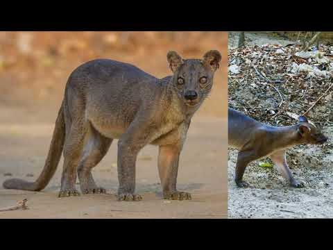 EXOTIC travel Madagascar