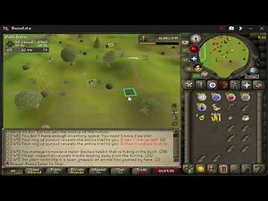 Razor Backed Kebbit Hunter Rumour