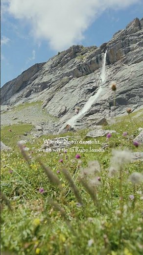 So sieht die Natur aus, wenn wir sie in Ruhe lassen.