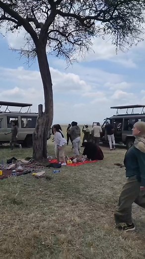 These tourists trust the guide so much😥🐾 👁 Lions are there so do not trust guide who tries to calm you down. ✈️Visit Nyerere National Park from Zanzibar 🧳 ✈️Visit Mikumi National Park from Zanzibar 🧳 🚕 Airport shuttles 🏊‍♂️ Visit Mnemba island ✈️Welcome to Zanzibar 🧳 ✈️Visit Serengeti National park then Zanzibar 🧳 I can help you to recommend hotels & all these 📱254 745861688 #uae #japan #china #qatar #usa🇺🇸 | Duncan Lyon